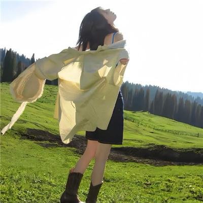 泰瑞·福克斯故事 海报